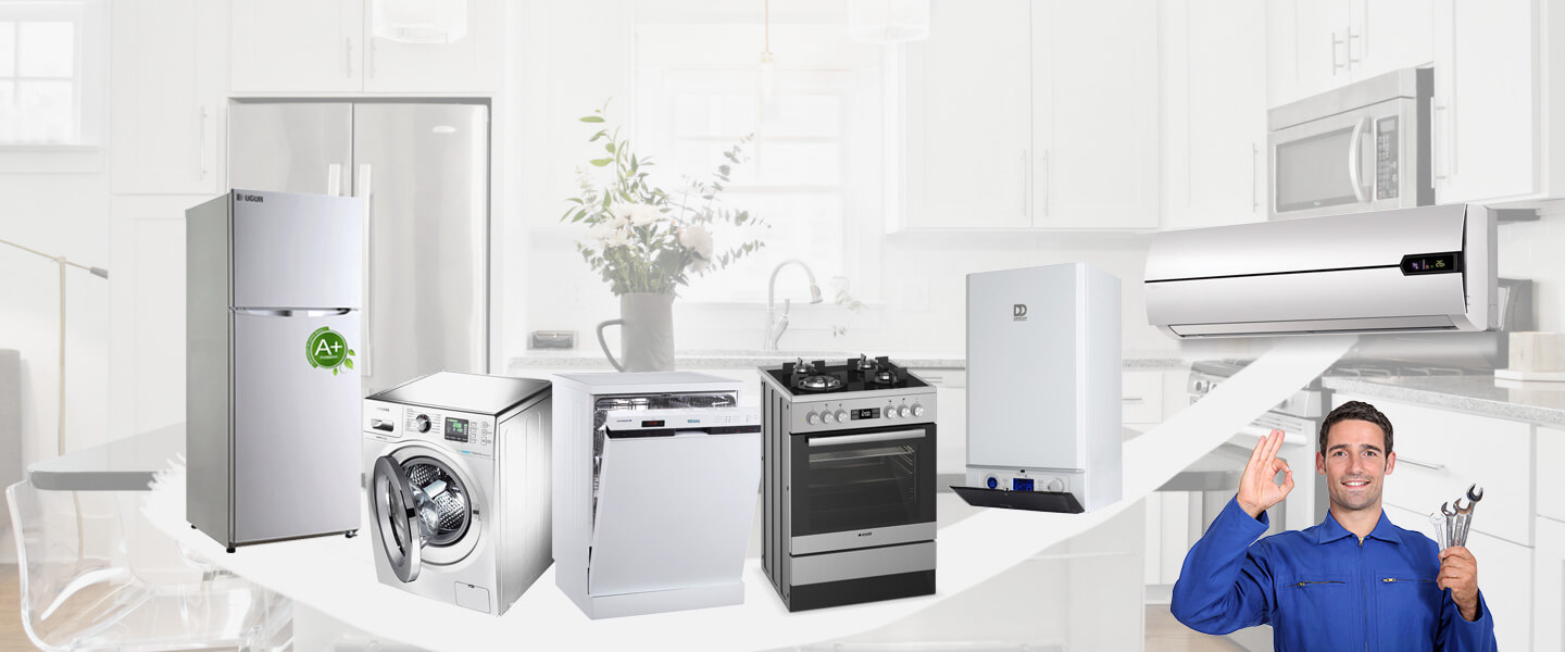 Vize Gaggenau Servisi